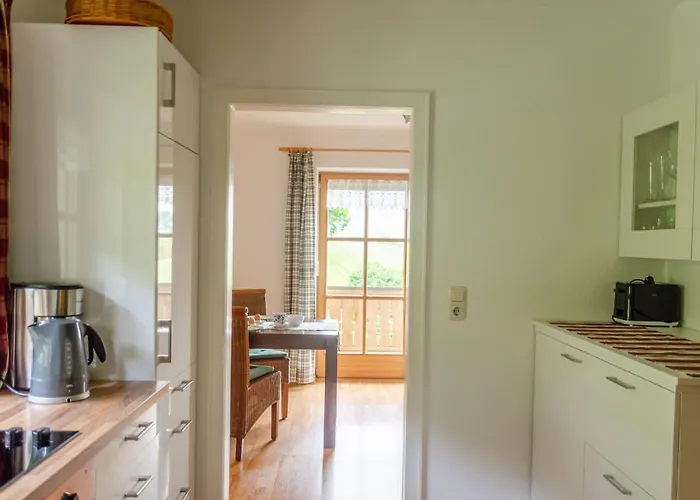 Mesnerbauer 公寓 *